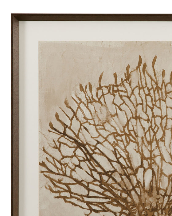 Neutral Seafan & Starfish Framed Print (Set of 2) - Light Brown
