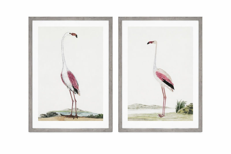 Vintage - Flamingo Framed Print (Set of 2) - Pink
