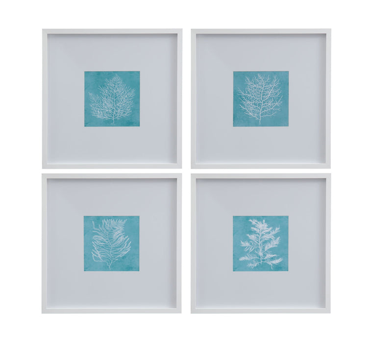 White Coral On Blue IV Framed Print - Blue / White