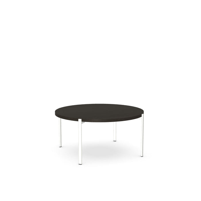 Maya Coffee Table w/ Wood Veneer Tabletop