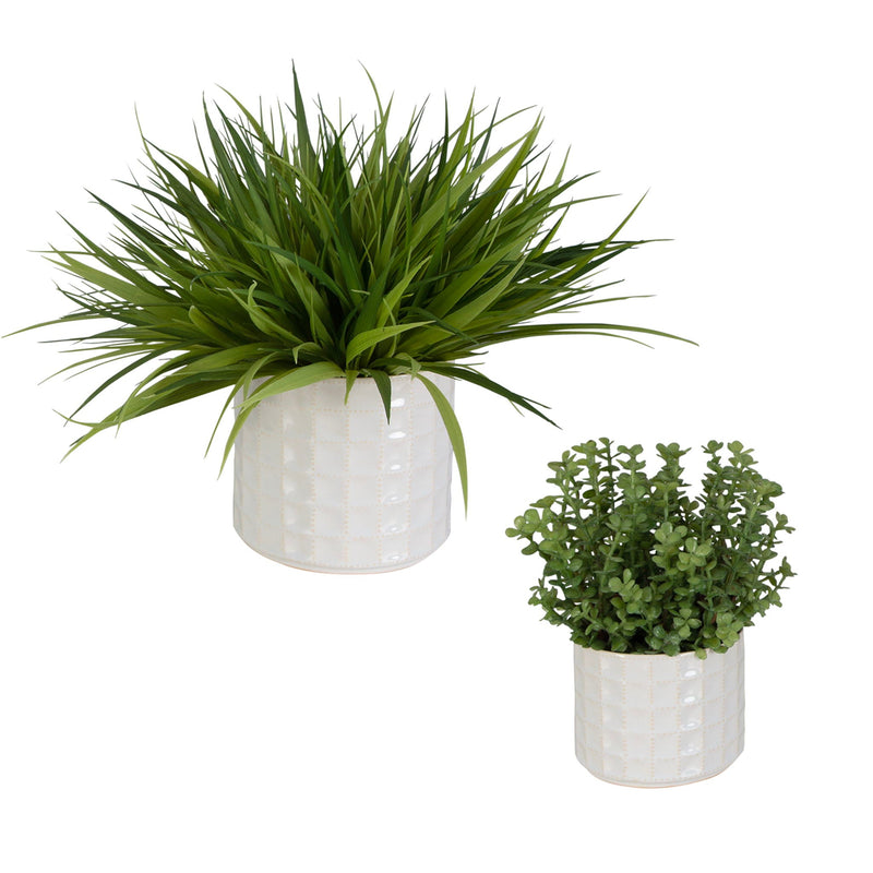 Edgewood - Greenery (Set of 2) - Silver