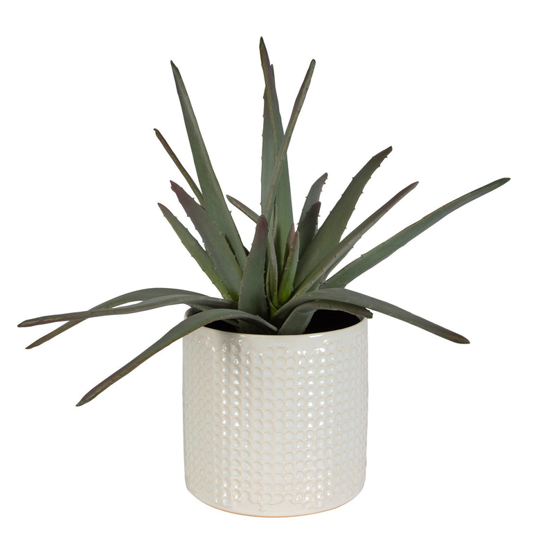 Taos - Aloe Centerpiece - Silver