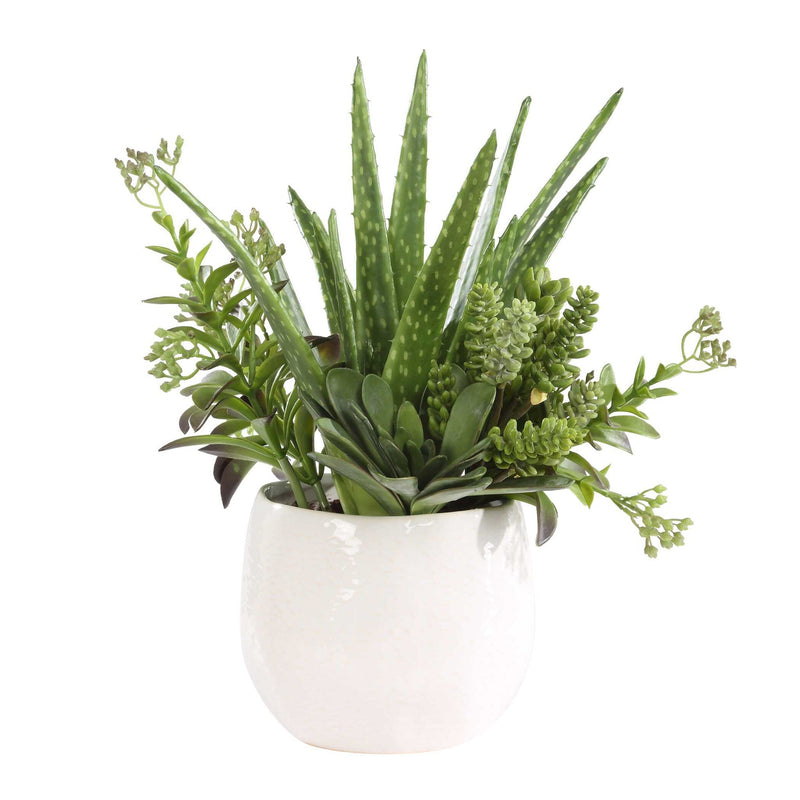 Sundown Succulent - Accent Planter - Green / White