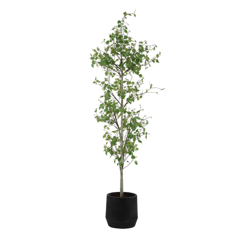 Boreal - Potted Birch Tree - Gray / Green