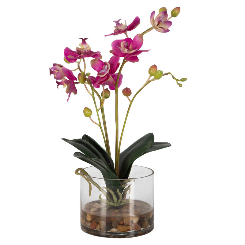 Glory Orchid - Fuchsia Orchid - Silver