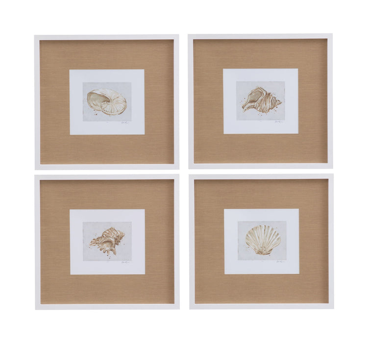 Neutral Shell Fresco IV Framed Print - Light Brown / White