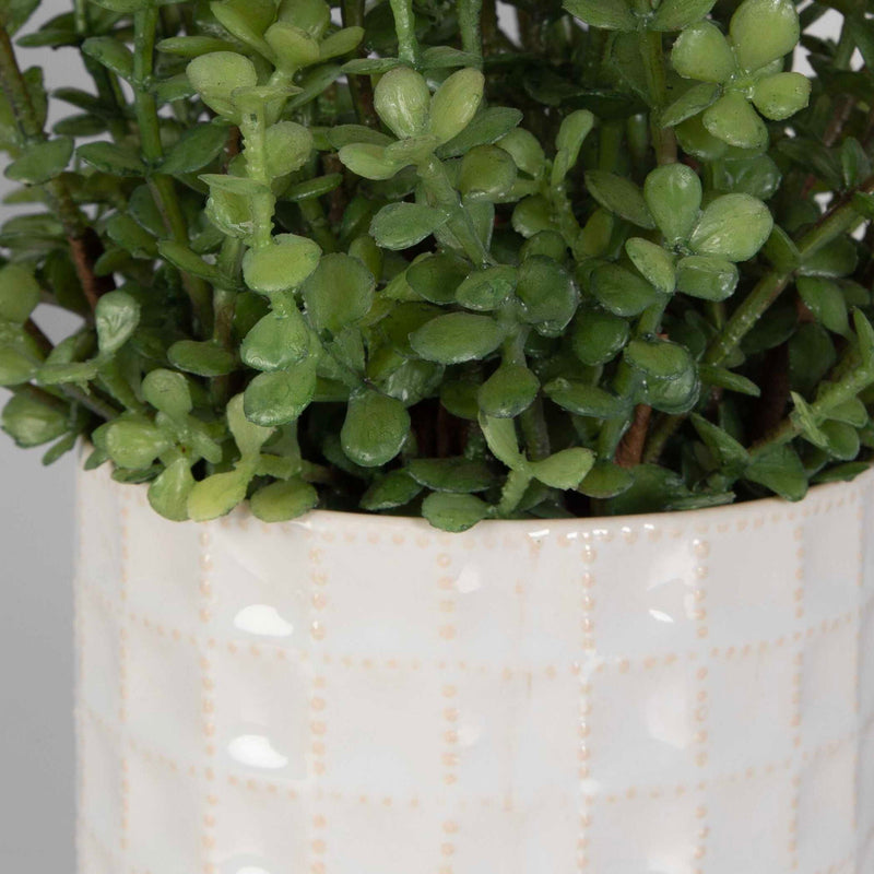 Edgewood - Greenery (Set of 2) - Silver