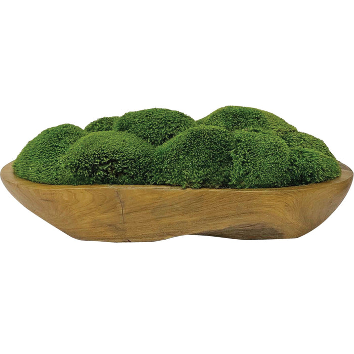 Kinsale - Moss Centerpiece - Light Brown