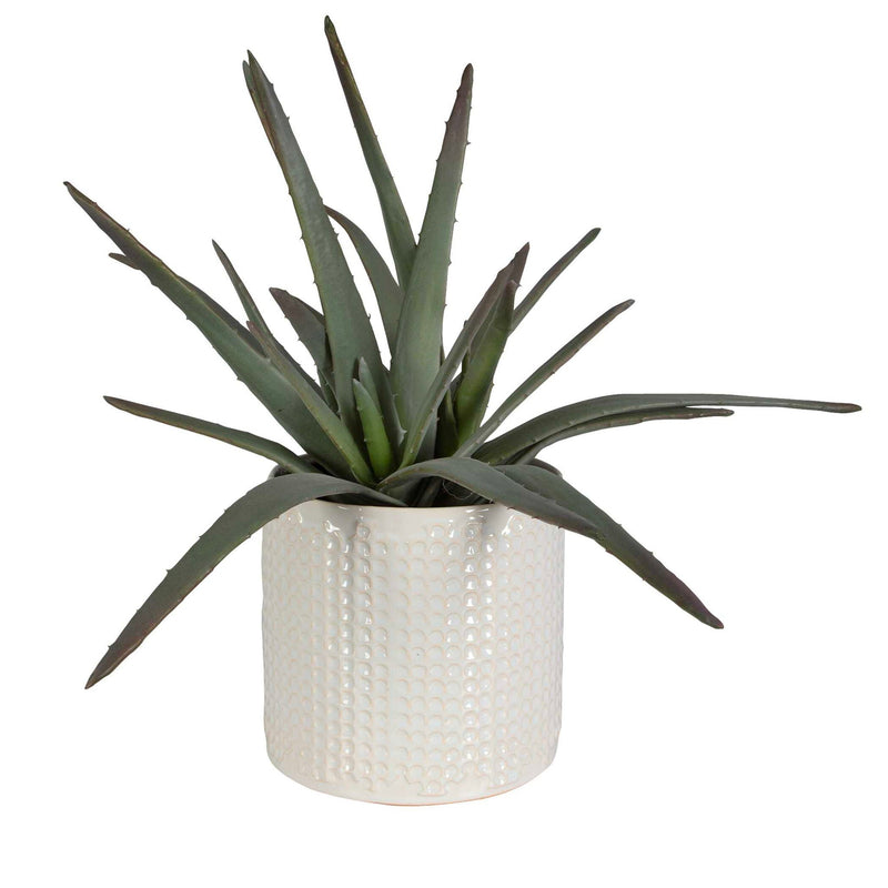 Taos - Aloe Centerpiece - Silver