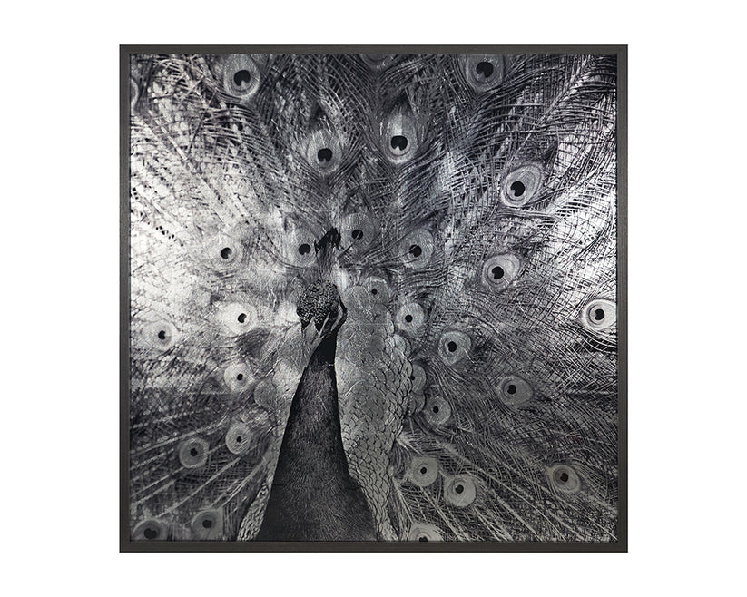 Courtship 48" X 48" Charcoal Frame