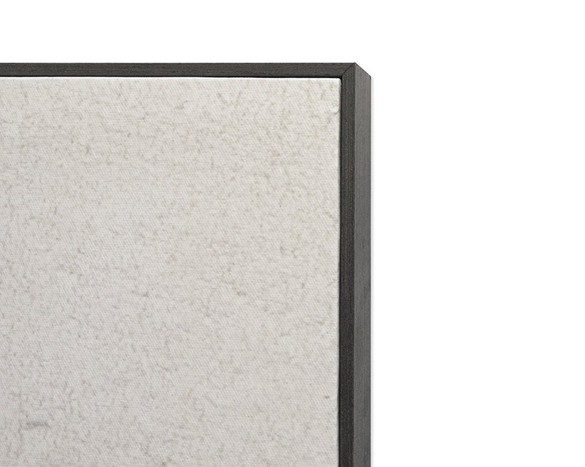 Miami Vice (Set Of 2) 40" X 60" Charcoal Floater Frame