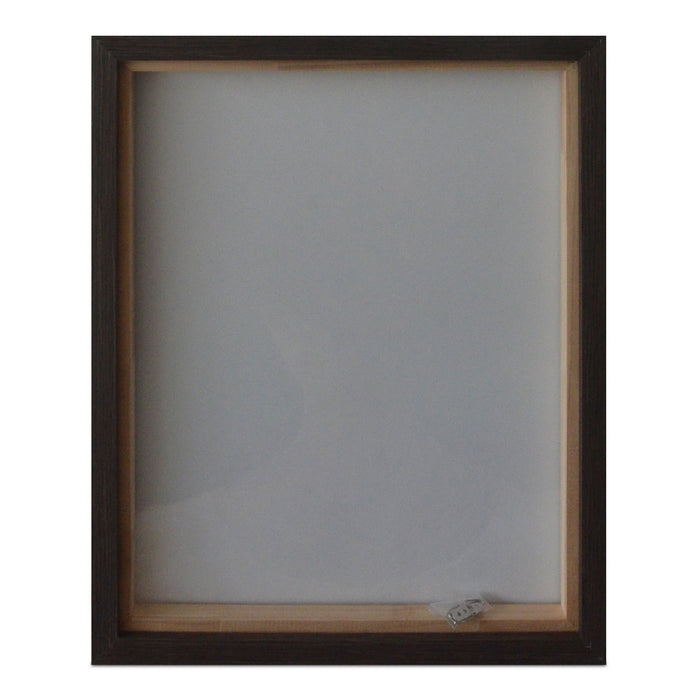 Intrepid Framed Painting
