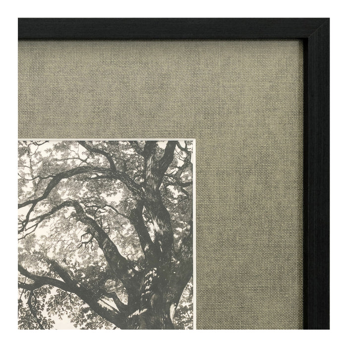 Arise Framed Print