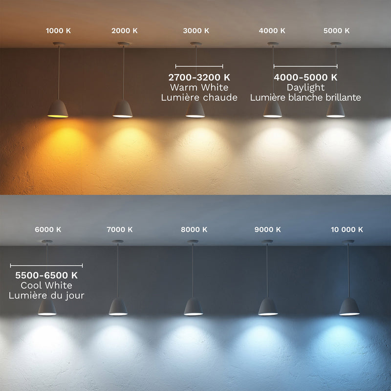 Lille Light Bulb