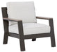 Tropicava Outdoor Lounge Chair with Cushion - Furniture Depot