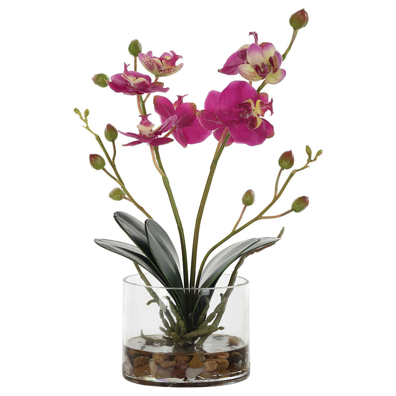 Glory Orchid - Fuchsia Orchid - Silver