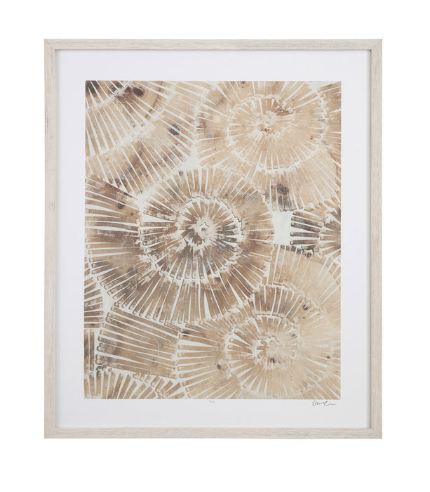 Fossil Nautilus II Framed Print - Brown
