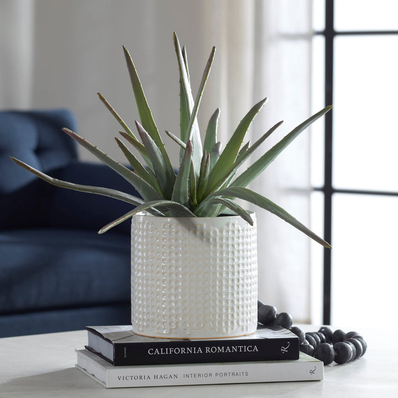 Taos - Aloe Centerpiece - Silver