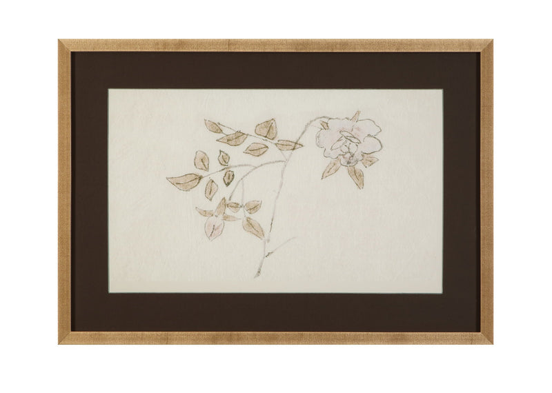 Delicate Rose II Framed Print - Cream