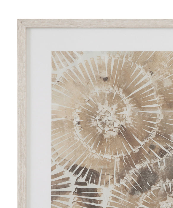 Fossil Nautilus Framed Print (Set of 2) - Brown