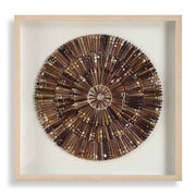 Tiger Sea Urchin - Shadow Box - Brown