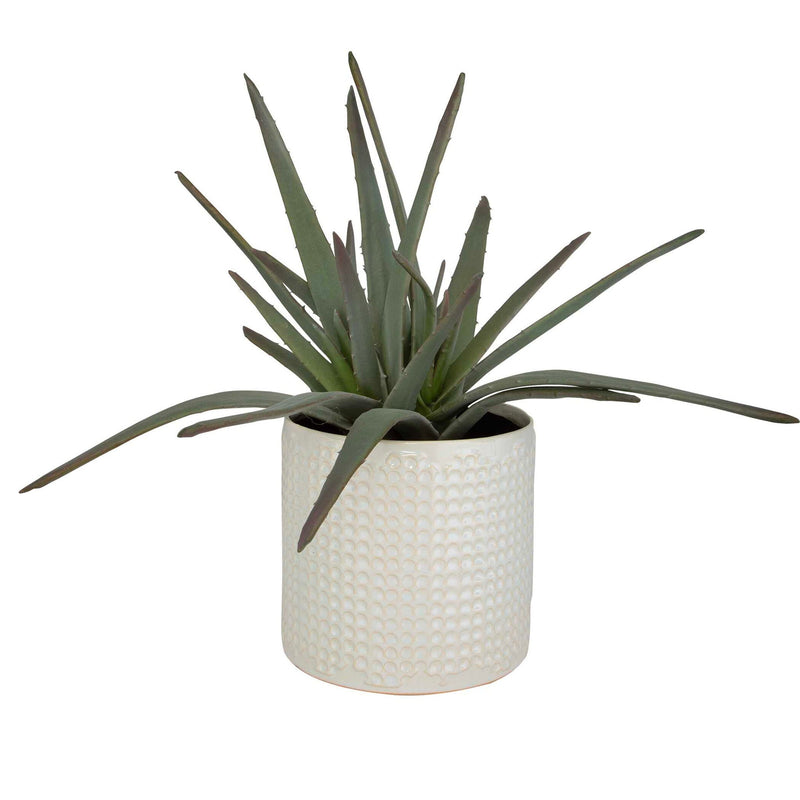 Taos - Aloe Centerpiece - Silver