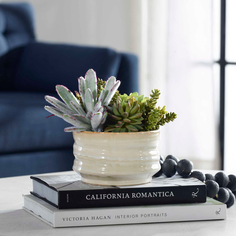 Mesa Succulent Accent - Silver