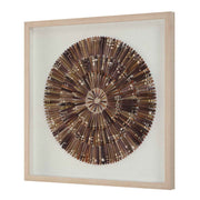 Tiger Sea Urchin - Shadow Box - Brown