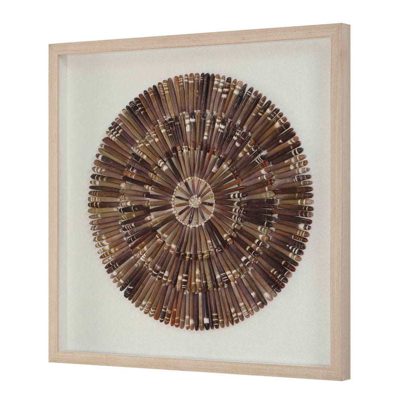 Tiger Sea Urchin - Shadow Box - Brown