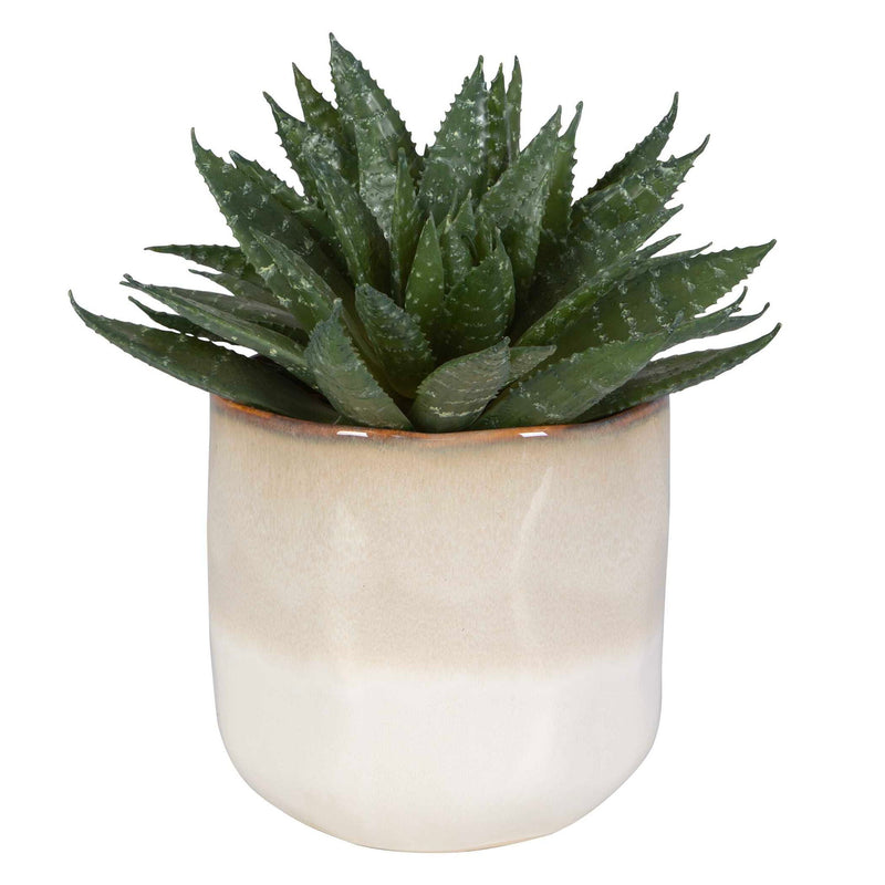 Doha - Succulent Accent - Light Gray