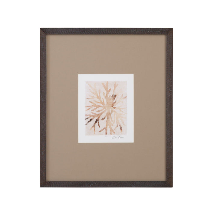 Parchment Coral II Framed Print - Brown