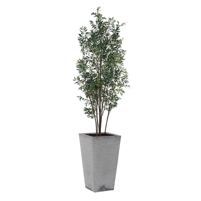 Sonora Olive - Tree In Planter - Gray / Green