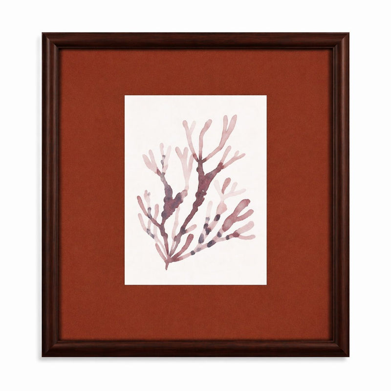 Spotted Coral Framed Print - Red