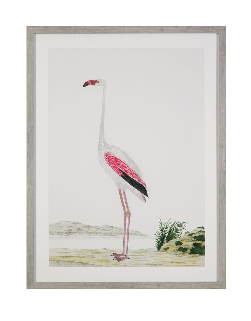 Vintage - Flamingo II Framed Print - Pink