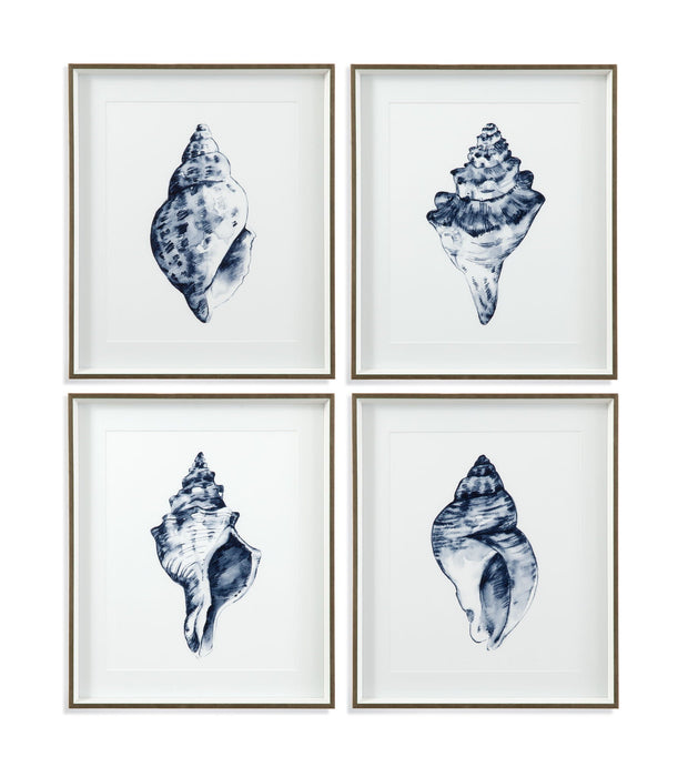 Quiet Conchin Indigo III Framed Print - Blue