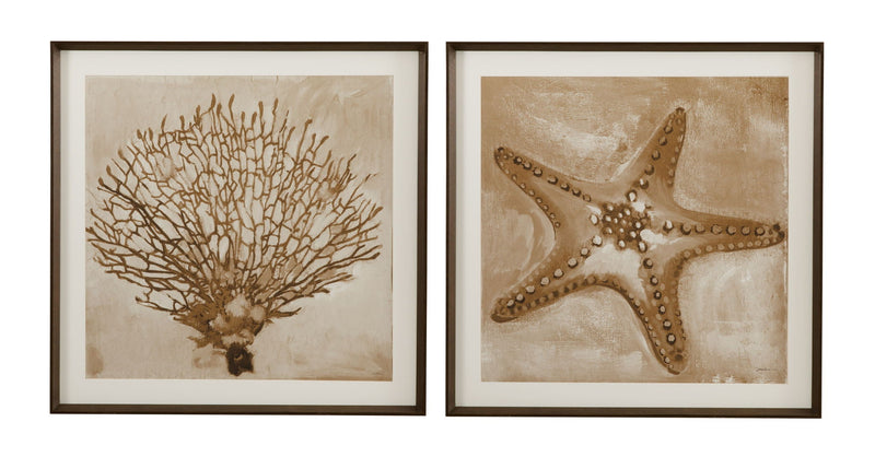 Neutral Starfish Framed Print - Light Brown