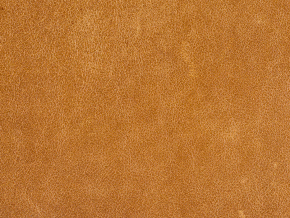 Savion Grandier Power Recliner with Power Headrest