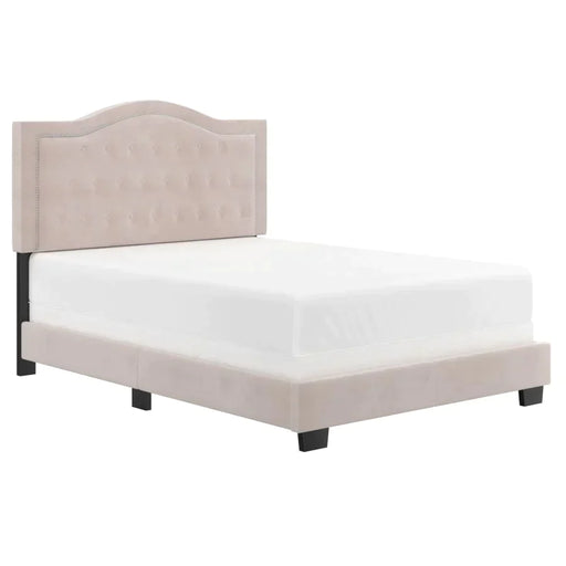 Pixie 60" Queen Bed in Blush Pink - Furniture Depot