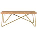 Madox Coffee Table in Natural & Aged Gold - Furniture Depot