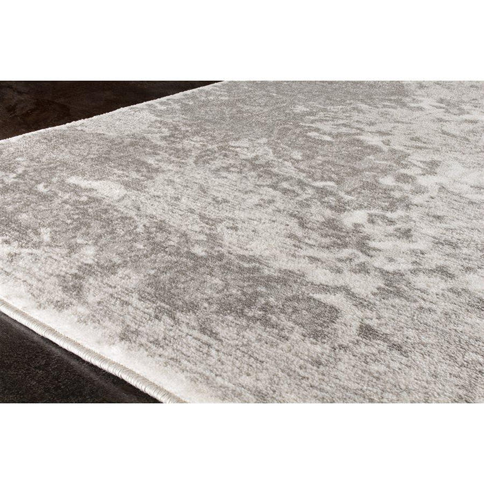 Platinum Distressed Traditional Rug - Sterling House Interiors