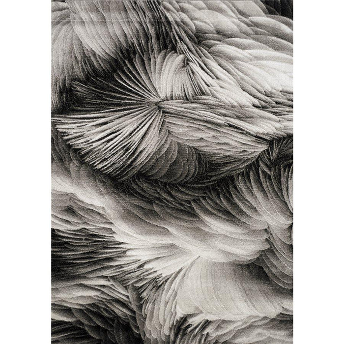 Platinum Feathers Rug - Sterling House Interiors