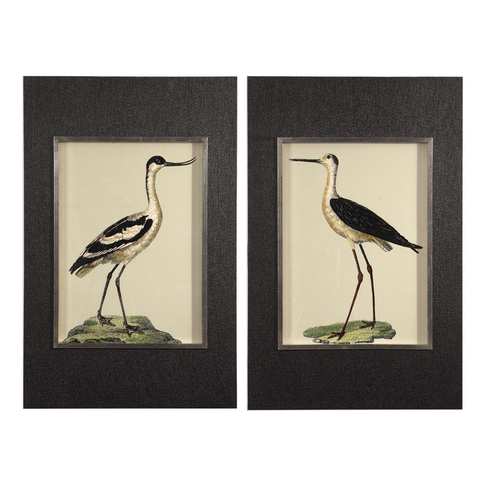 Birds On The Shore Prints (Set of 2) Black