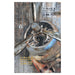 Fly Rider Wall Décor - Furniture Depot