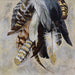 Feathertail Canvas Art - Furniture Depot